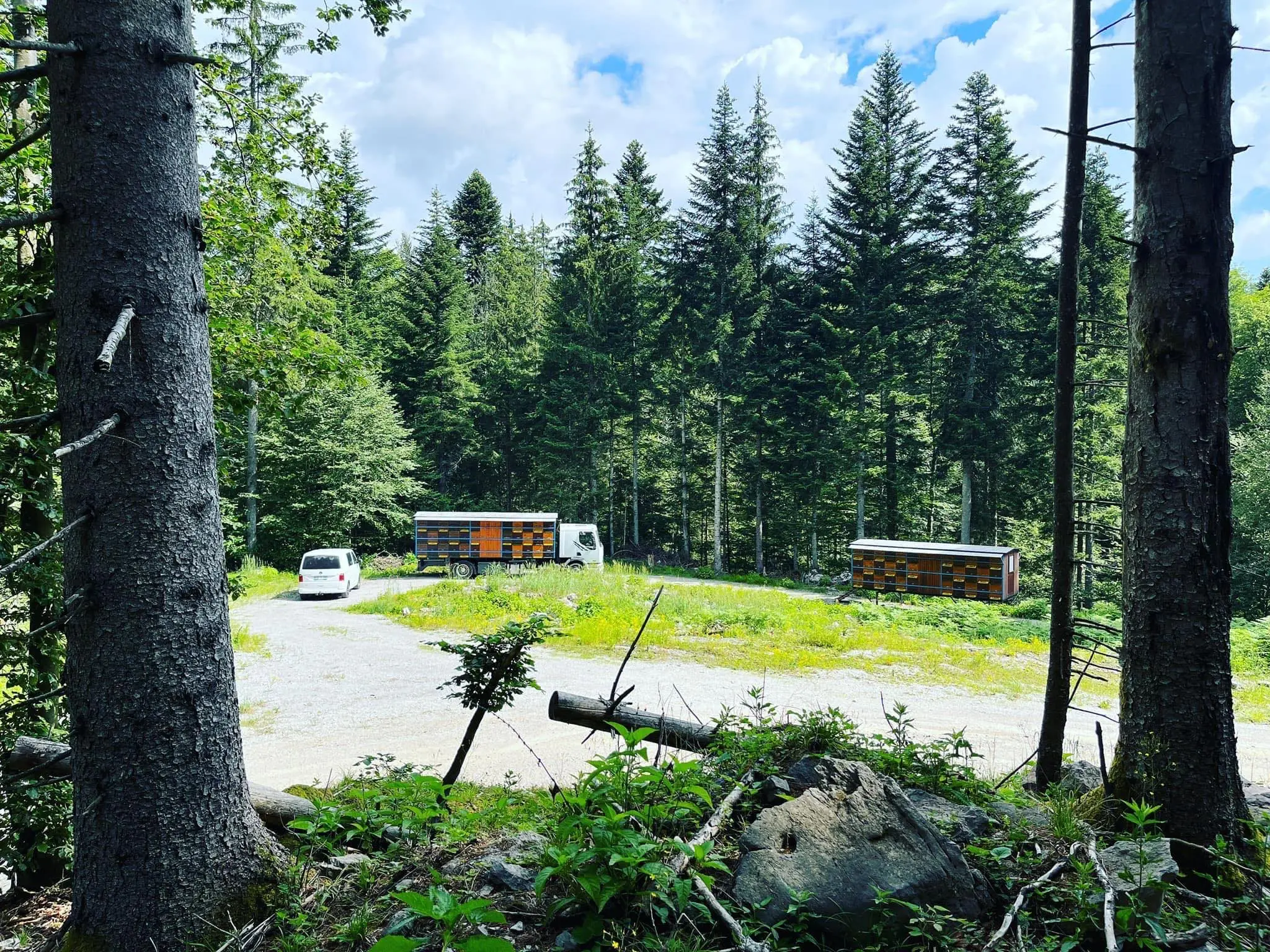 Prevozno čebelarstvo 9